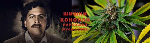 соль ск Алексеевка