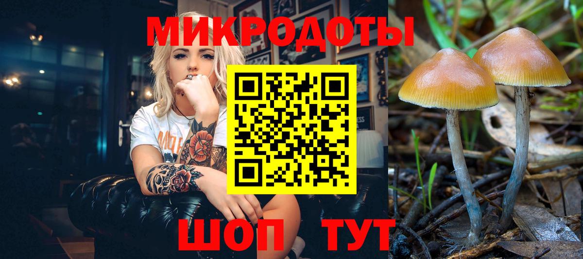 Усть-Лабинск  Галлюциногенные грибы MAGIC MUSHROOMS  Псилоцибиновые грибы GOLDEN TEACHER  Вход с VPN 