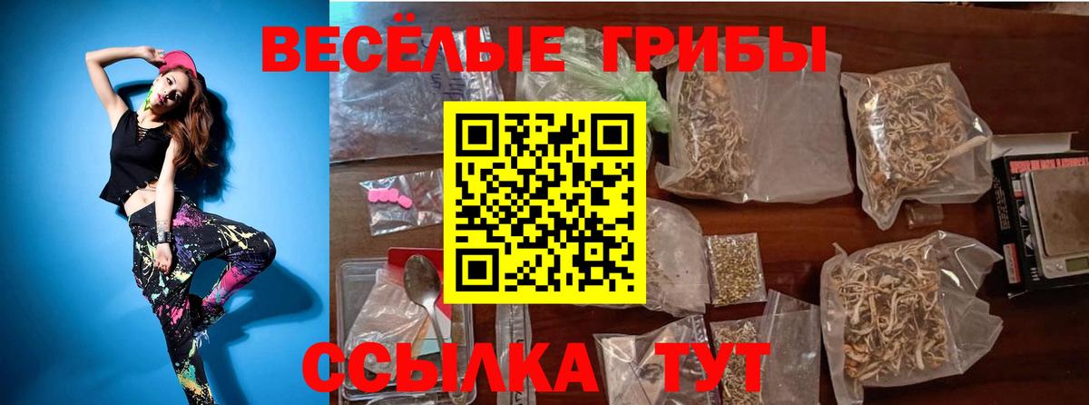 Галлюциногенные грибы GOLDEN TEACHER Усть-Лабинск